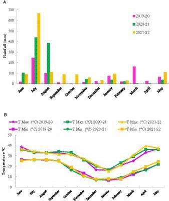 Bundling subsurface drip irrigation with no-till provides a window to integrate mung bean with intensive cereal systems for improving resource use efficiency